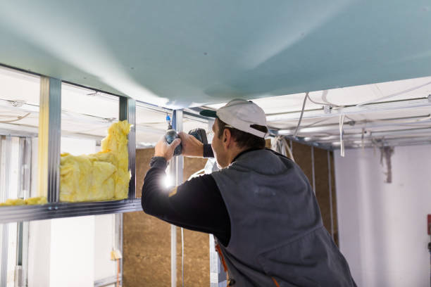 Best Fiberglass Insulation  in Avon, CO