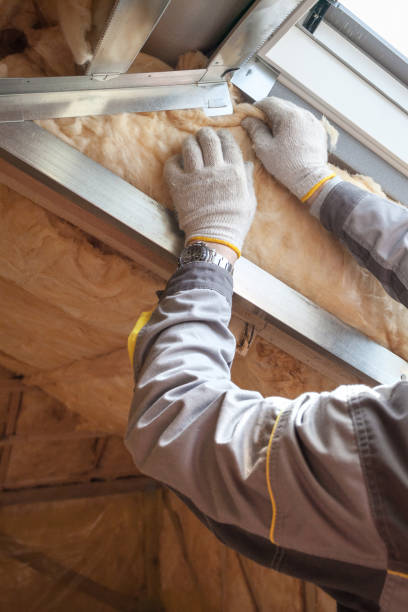 Best Wall Insulation Contractor  in Avon, CO