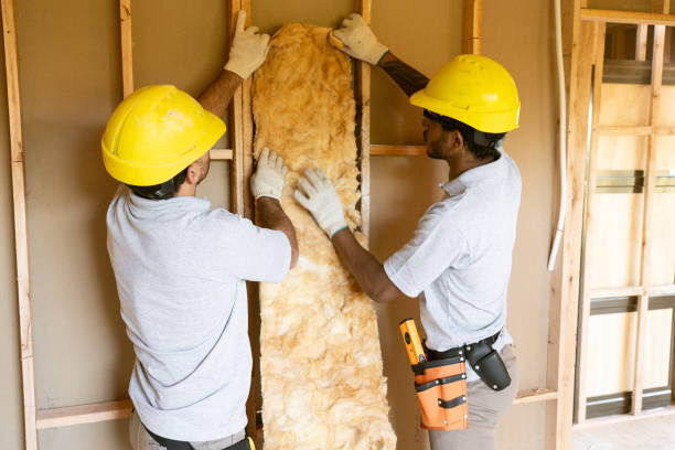 Best Blown-in Insulation  in Avon, CO